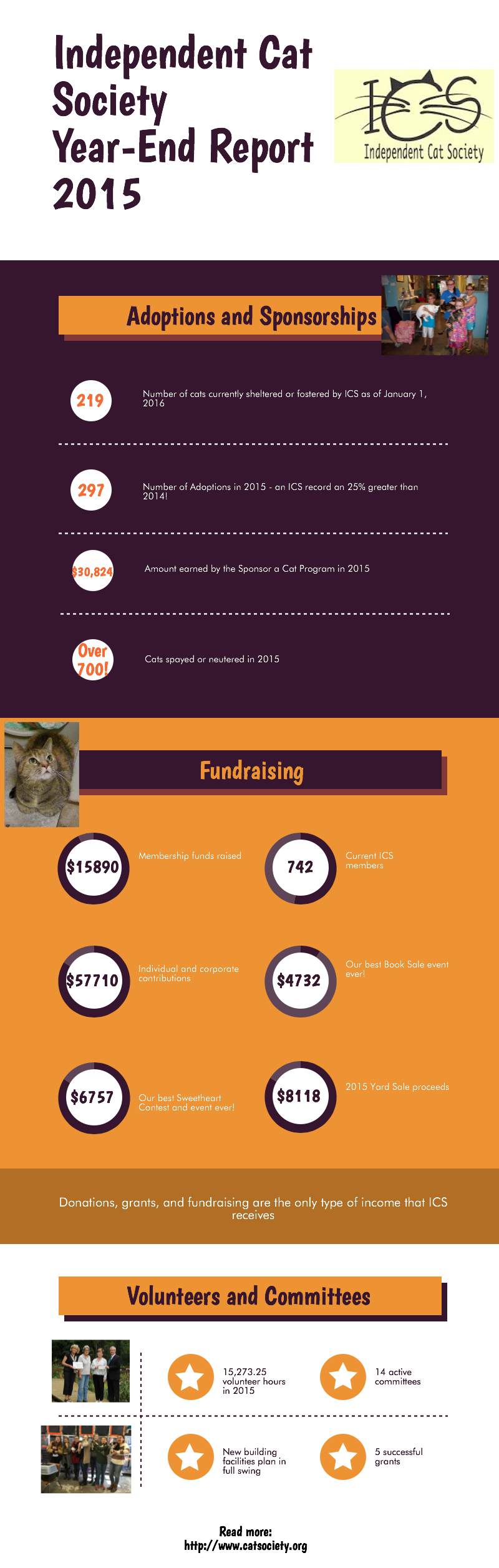 2015 Year-end Report Infographic